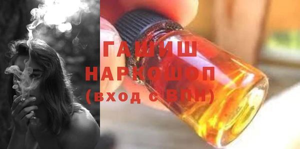 хмурый Тайга