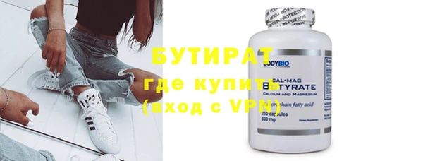 хмурый Тайга