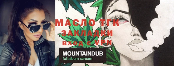 хмурый Тайга