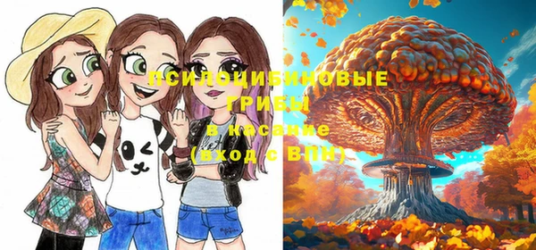 хмурый Тайга