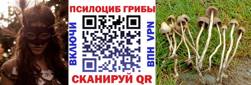 Купить где  Радужный  Псилоцибиновые грибы прущие грибы 